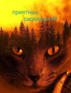 IMG_20250508_181823_900