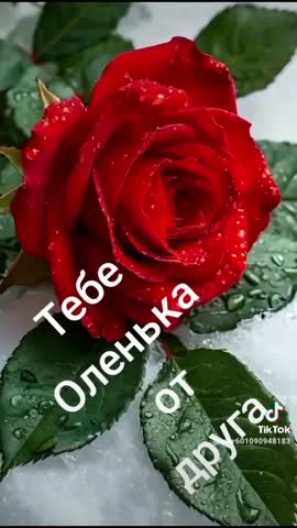 529aea8d55932012e6cf1c6ec132a048