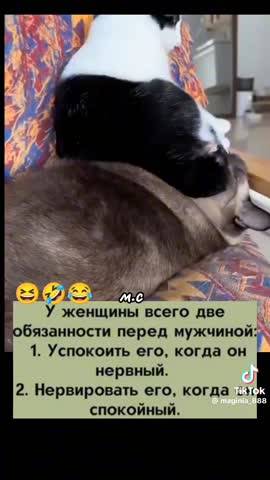 4864c125718bbad24ef9786299cdc7b4