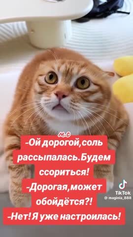 c62eb1823f424a9bb9ea42f57ab5e726