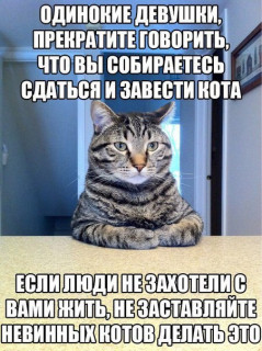 kb3TD5W8A58