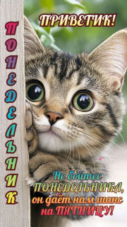 IMG_20250512_061935_201