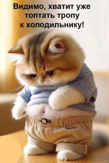 Веселые_Котики