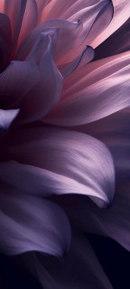 HJziDU7JTNmAdr5vv094D82lYuyvFPZ3vF7axf_3SdKCVZS0vt1Qjqd4fKXmn58GHeeNR8VI3ecceieLs3cQmU4S