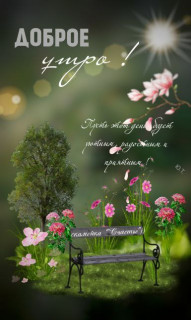 IMG_20250516_061154_169