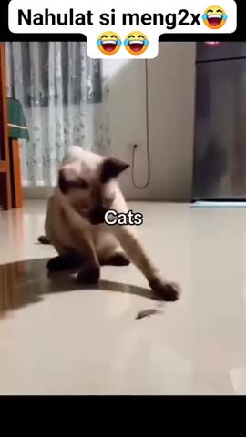 17473999628422_054032