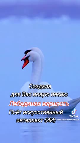 1e250d3b102f41f54f27c1b90db04082