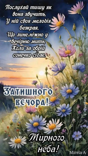 Foiz_PRO_1747669377073