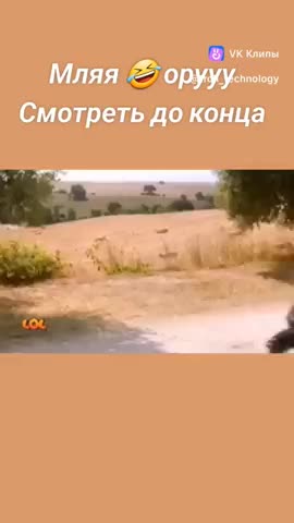 который_час