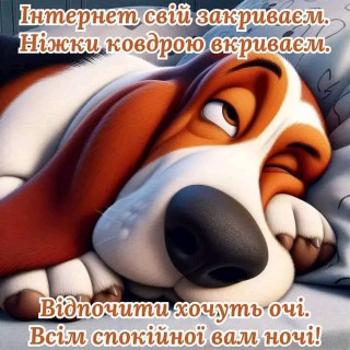 FB_IMG_17478630762714190