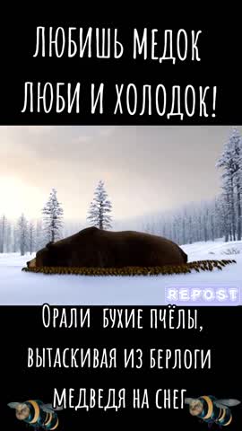 Мишка и пчелы