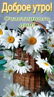 FB_IMG_17479688204897227