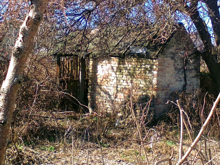 IMG_2025-03-18-11-50-18-3402