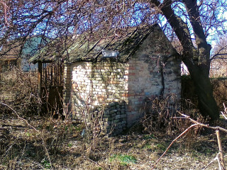 IMG_2025-03-18-11-52-31-6333