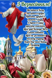 FB_IMG_17484915452016018