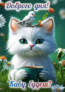 FB_IMG_17485223197727001