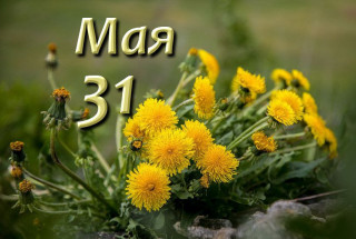 IMG_20250530_225408_961