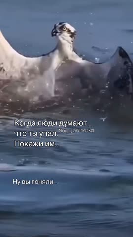 4052277159109519681