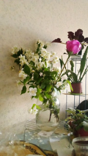 IMG_20250531_195211_785