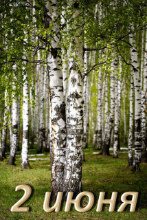 IMG_20250602_071314_308