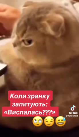 video-6fef49142f6e1d5d4451da68a8b1768d-V