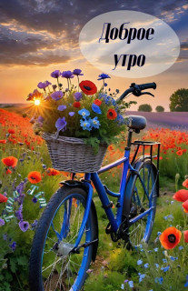 IMG_20250603_064336_775