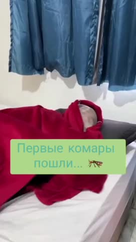 привет_комары