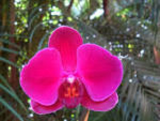images-38