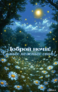 IMG_20250604_195359_534