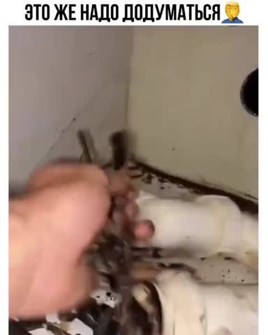 полный_пипец