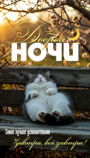 IMG_20250608_231924_692