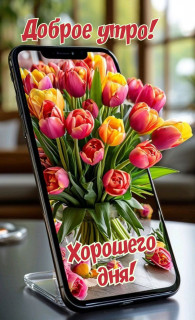 IMG_20250609_040638_358