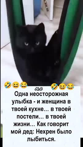 Всего одна улыбка