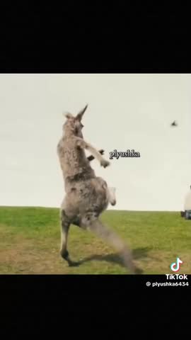 84e795799845576d78db6ea729307ac8
