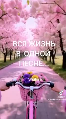 Вся жизнь в одной песне
