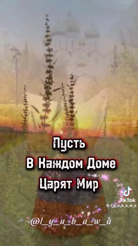 Наша Россия