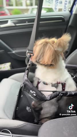 5f4d6eeaee3ba4a83061fc26e52227a0