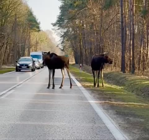 VID_20250614_230624_619