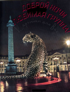 IMG_20250618_193247_819