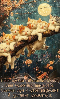 IMG_20250619_004451_565