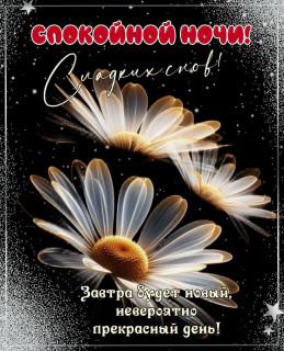 IMG_20250619_181256_805