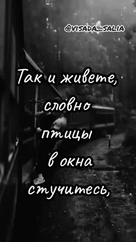 -1525983401522494404
