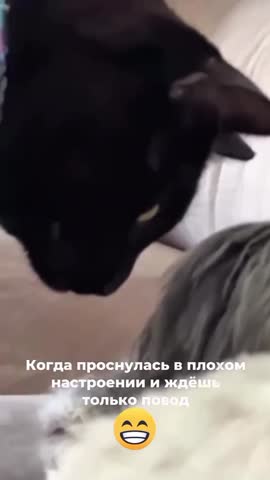 Настроение