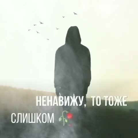 Tmate_2025-03-25_215847544