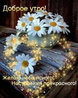 IMG_20250623_044804_794