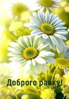 FB_IMG_17506446115660388