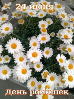 IMG_20250624_052646_310