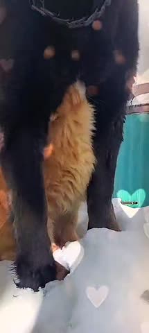 VID_20250624_154116_683