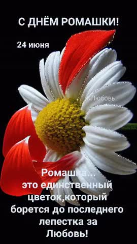 24 июня