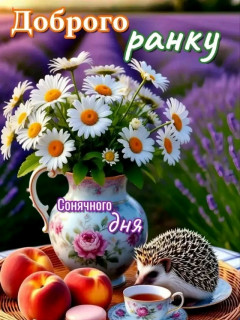 FB_IMG_17509006496946256